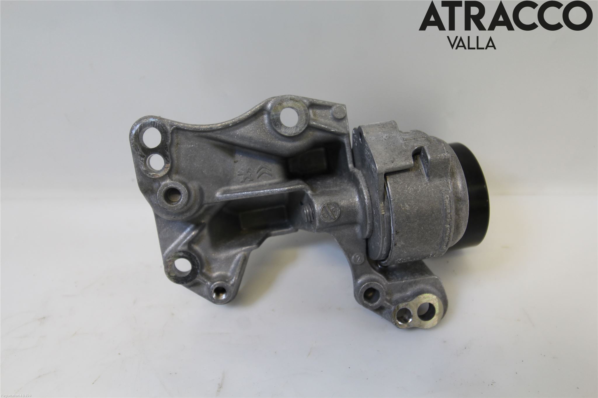 Citroen COTROEN C3 17-24 Reimstrammer