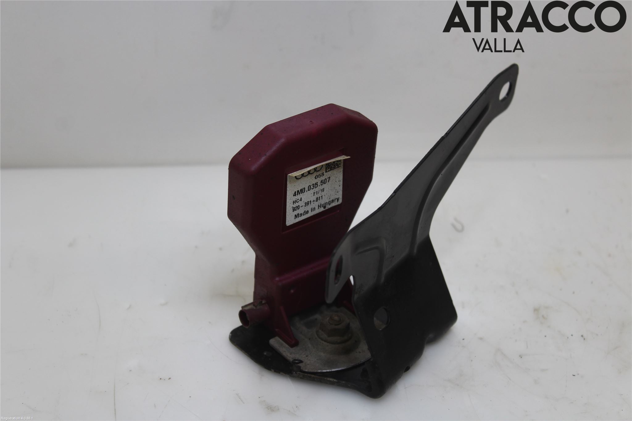 Audi A3/S3 8V 13-20 Stereo Antenne Radio-Tv