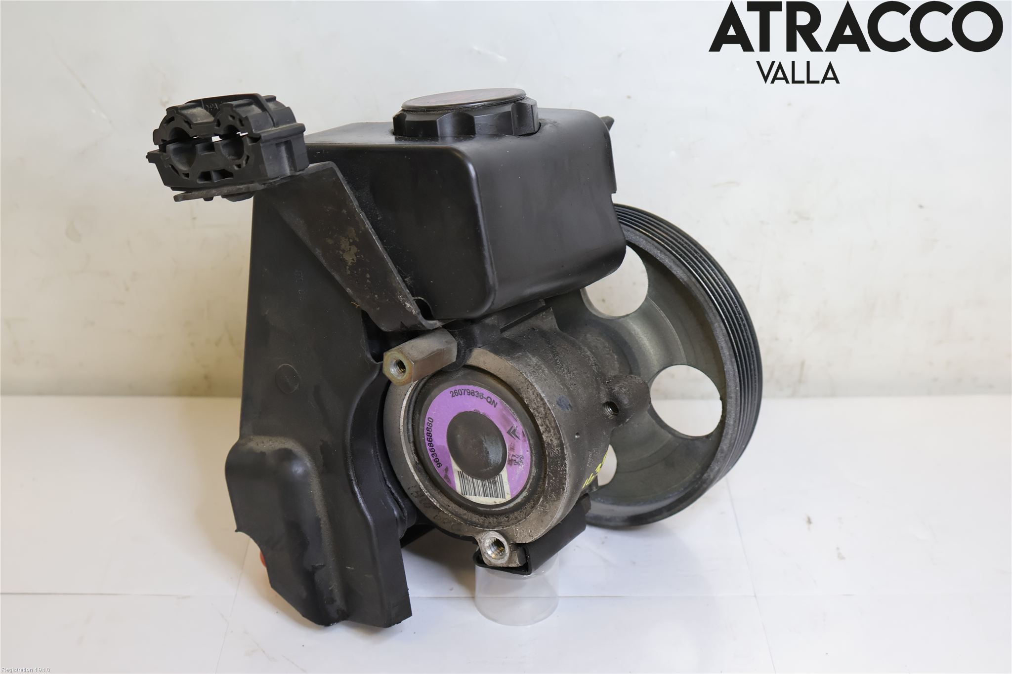 Peugeot 206 98-09 Servo Pumpe