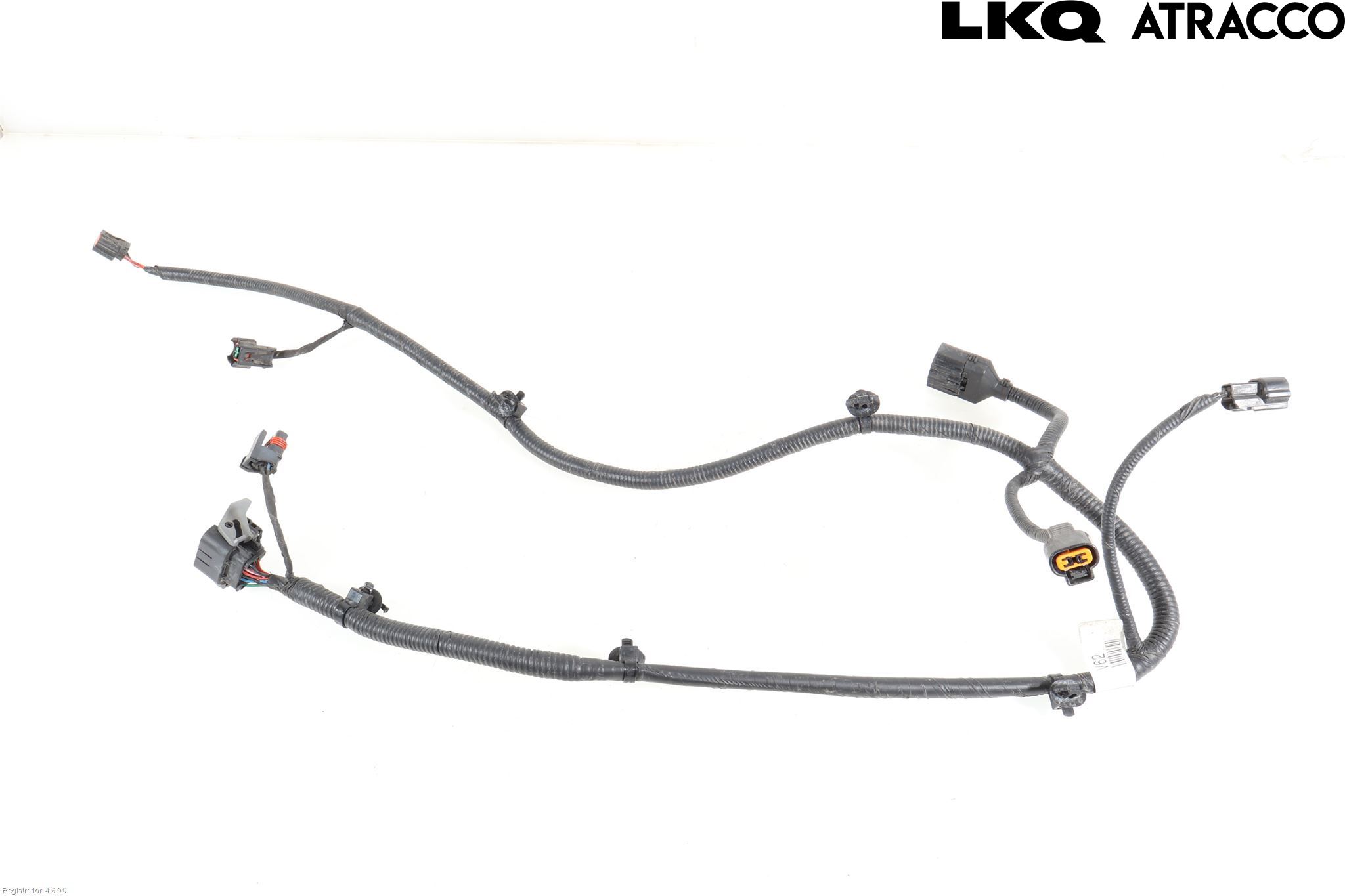 Hyundai IONIQ AE 17-22 Ledningsnett