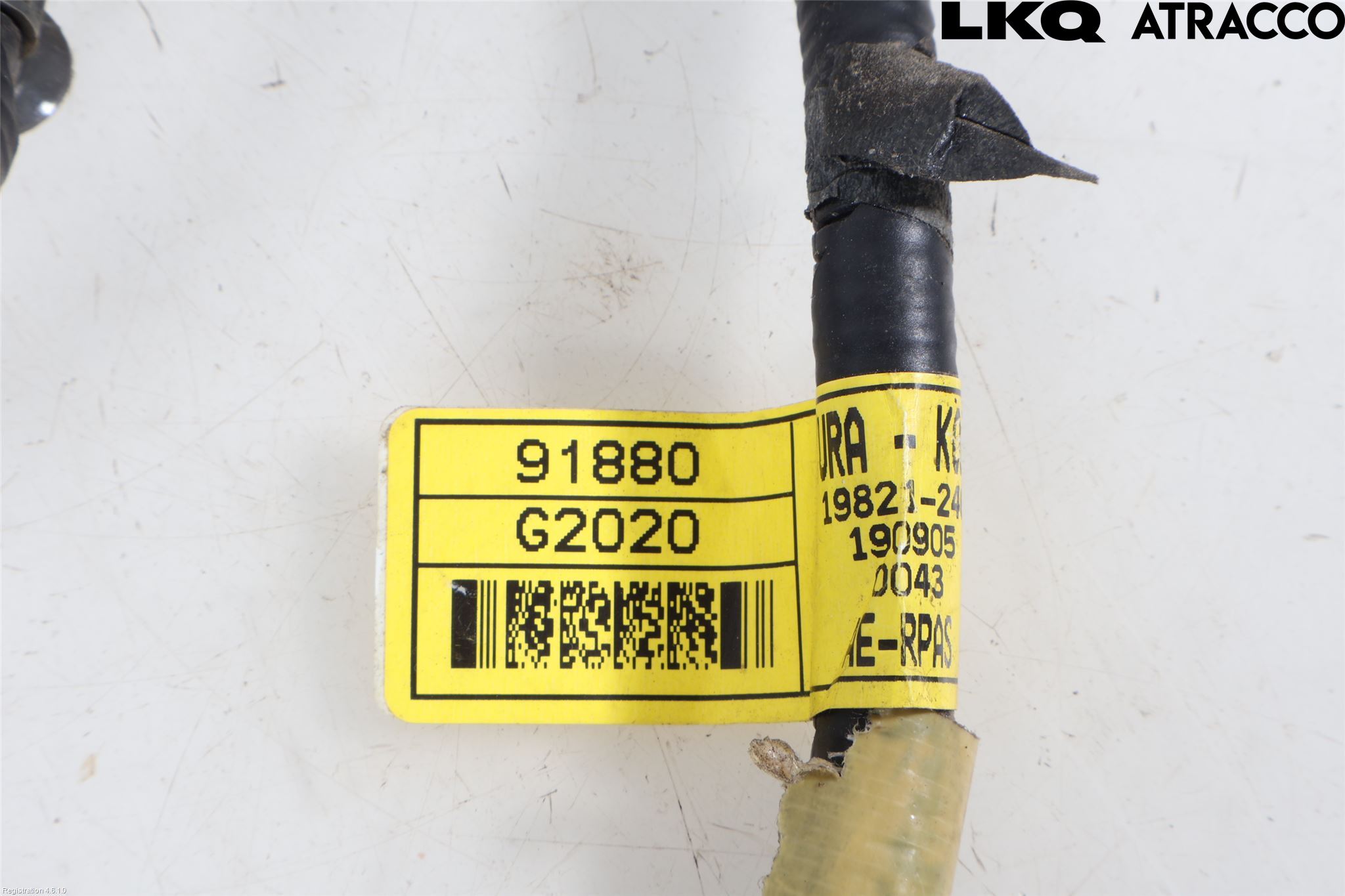 Hyundai IONIQ AE 17-22 Ledningsnett