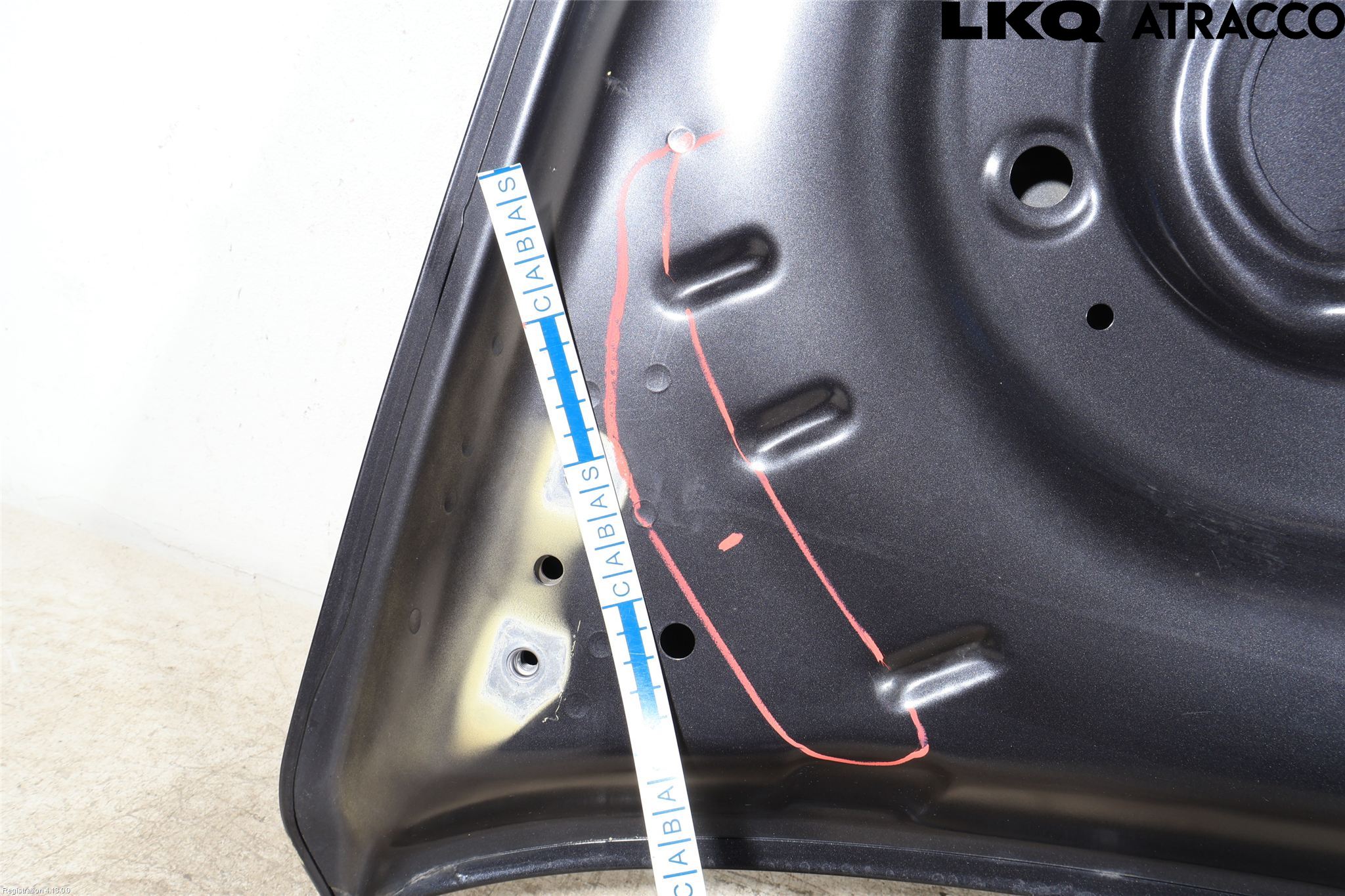 Kia NIRO (DE) 17-22 Panser