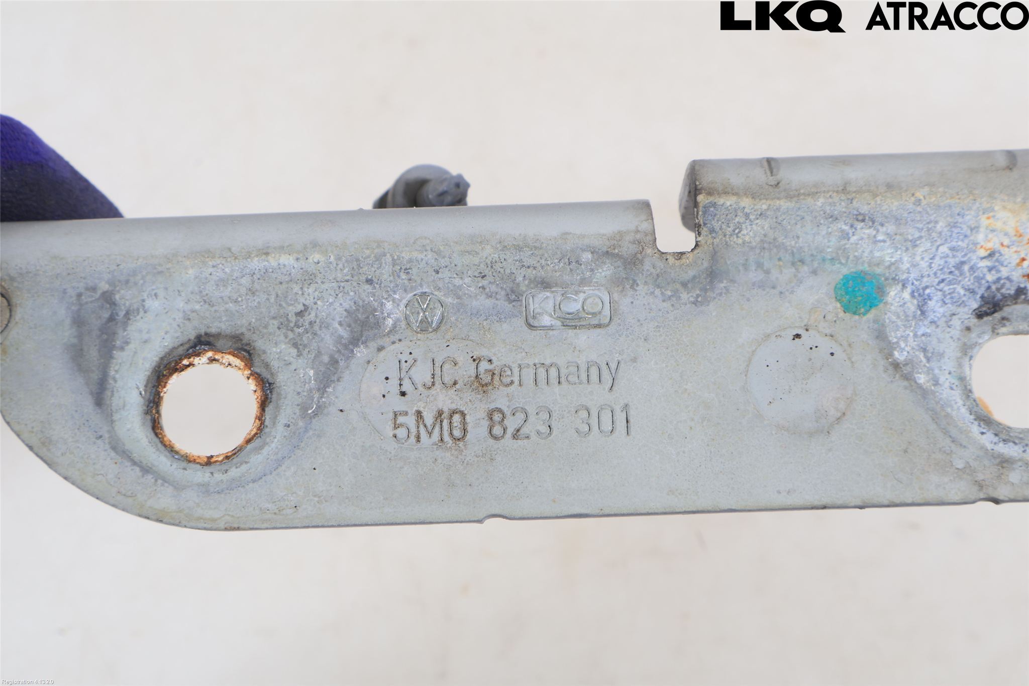 Volkswagen VW GOLF PLUS/CROSS GOLF 04-14 Panser Hengsel - Hengsler