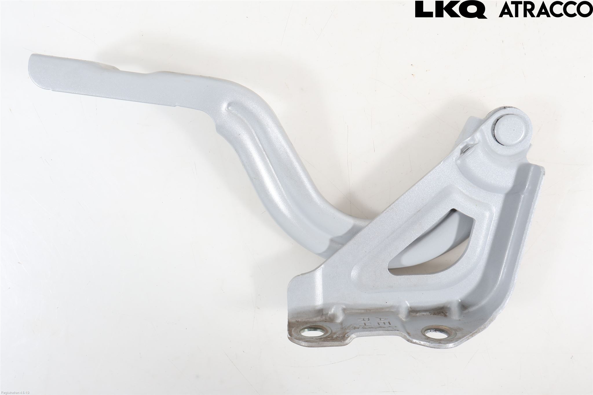 Hyundai IONIQ AE 17-22 Panser Hengsel - Hengsler