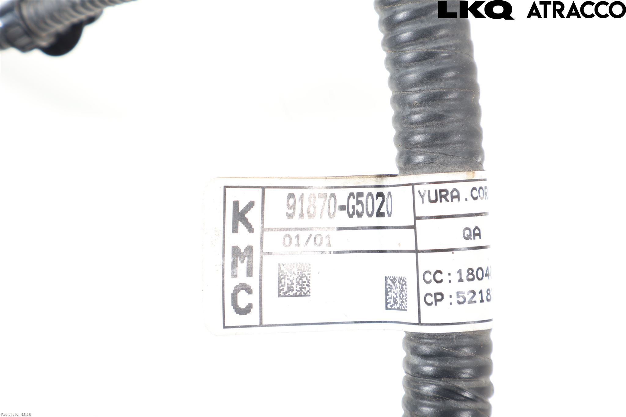 Kia NIRO (DE) 17-22 Ledningsnett