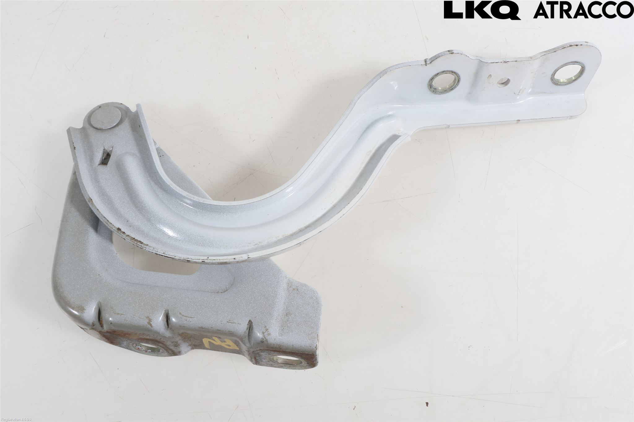 Hyundai IONIQ AE 17-22 Panser Hengsel - Hengsler