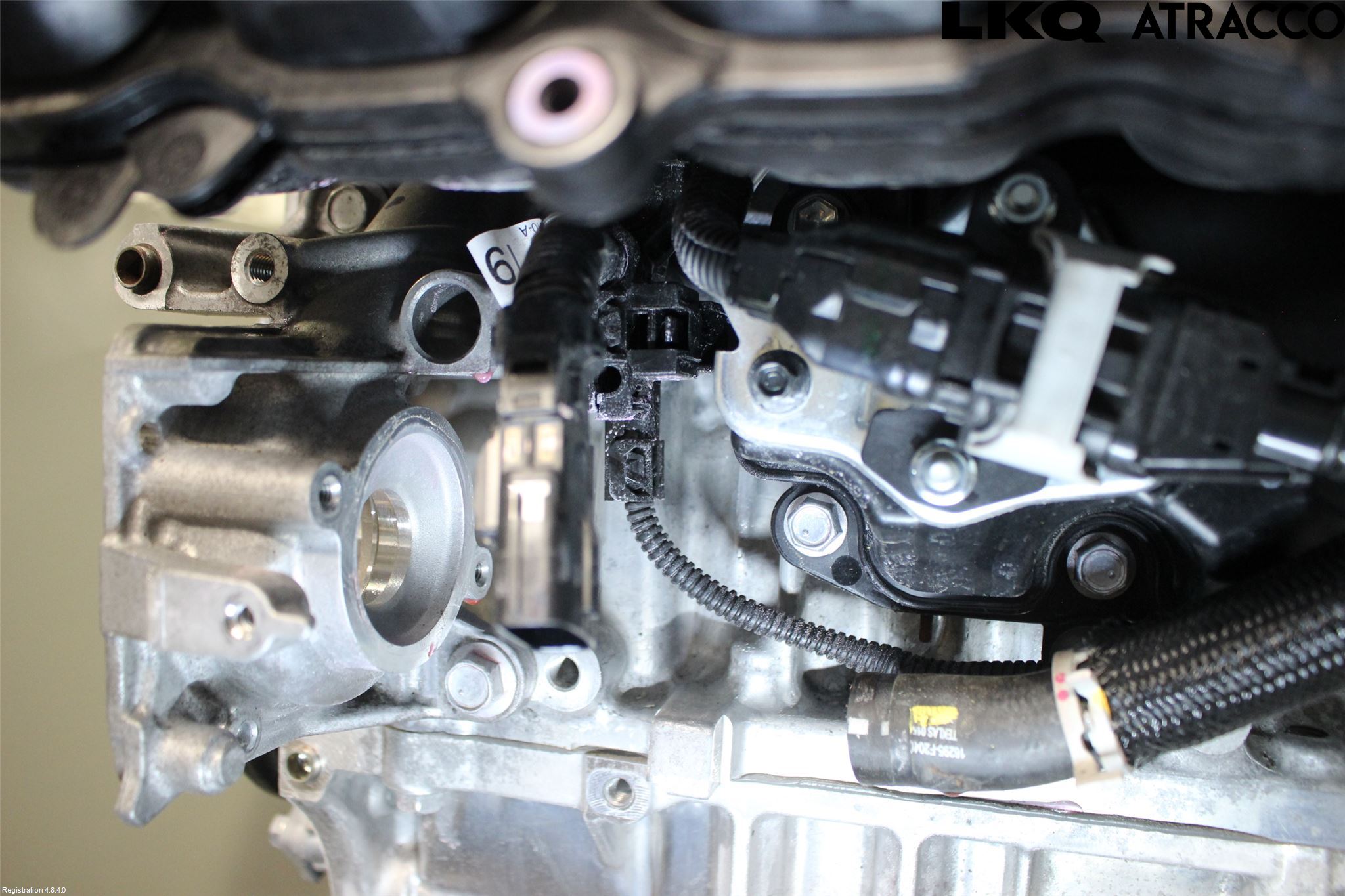 Toyota C-HR 24- Motor Bensin