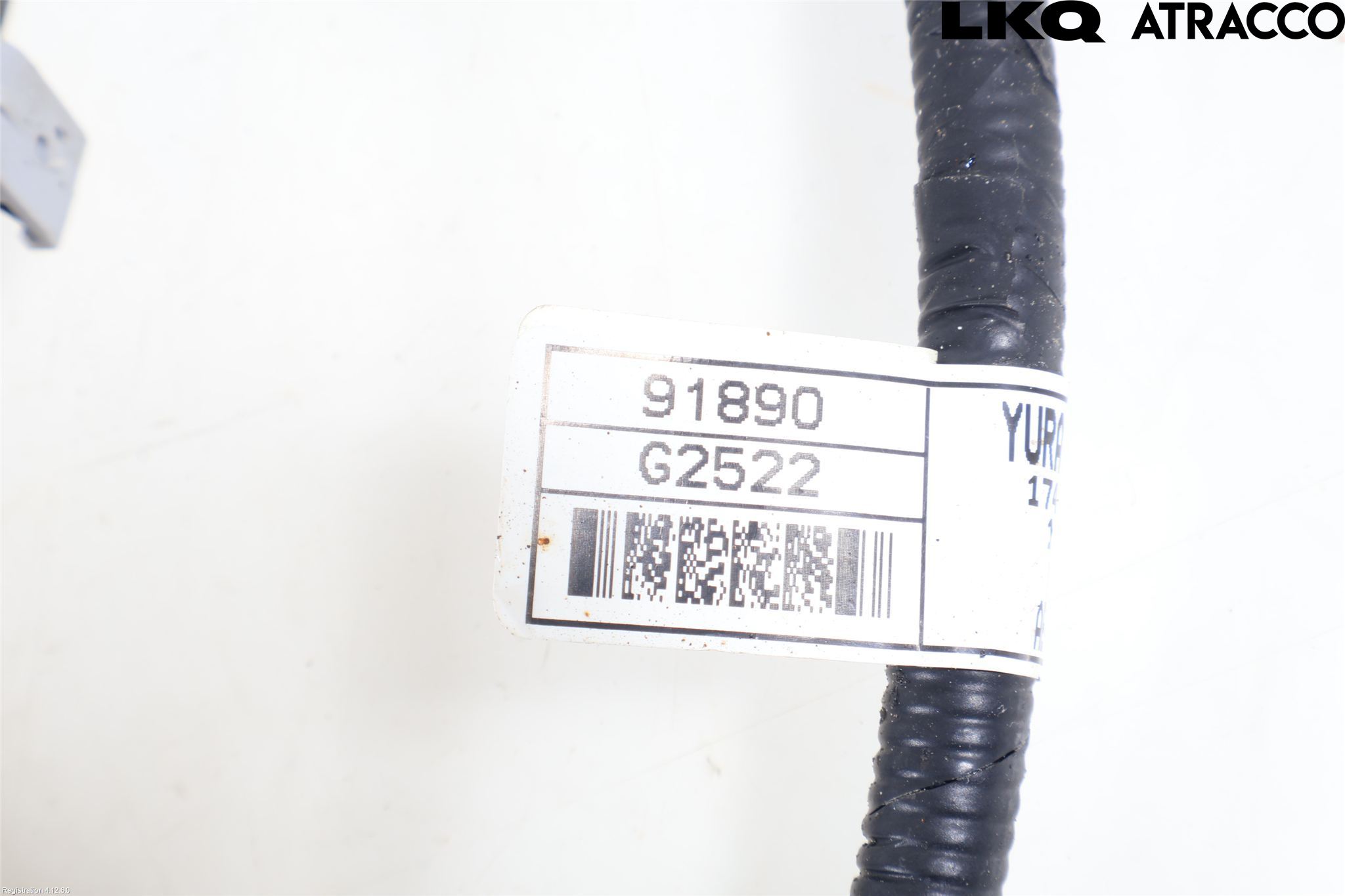 Hyundai IONIQ AE 17-22 Ledningsnett