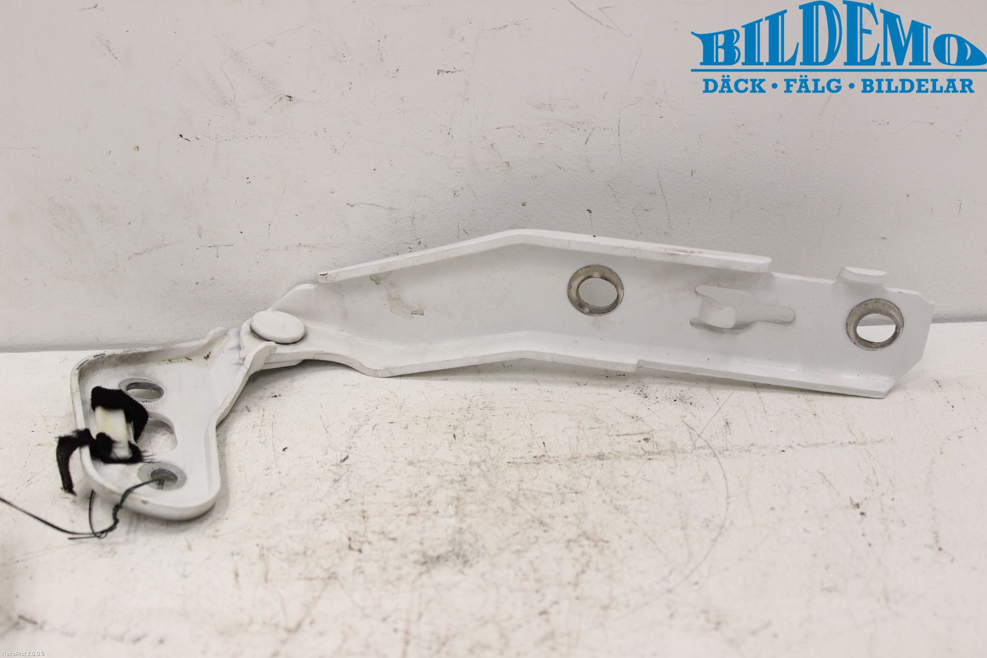 Audi A6/S6     05-11 Panser Hengsel - Hengsler