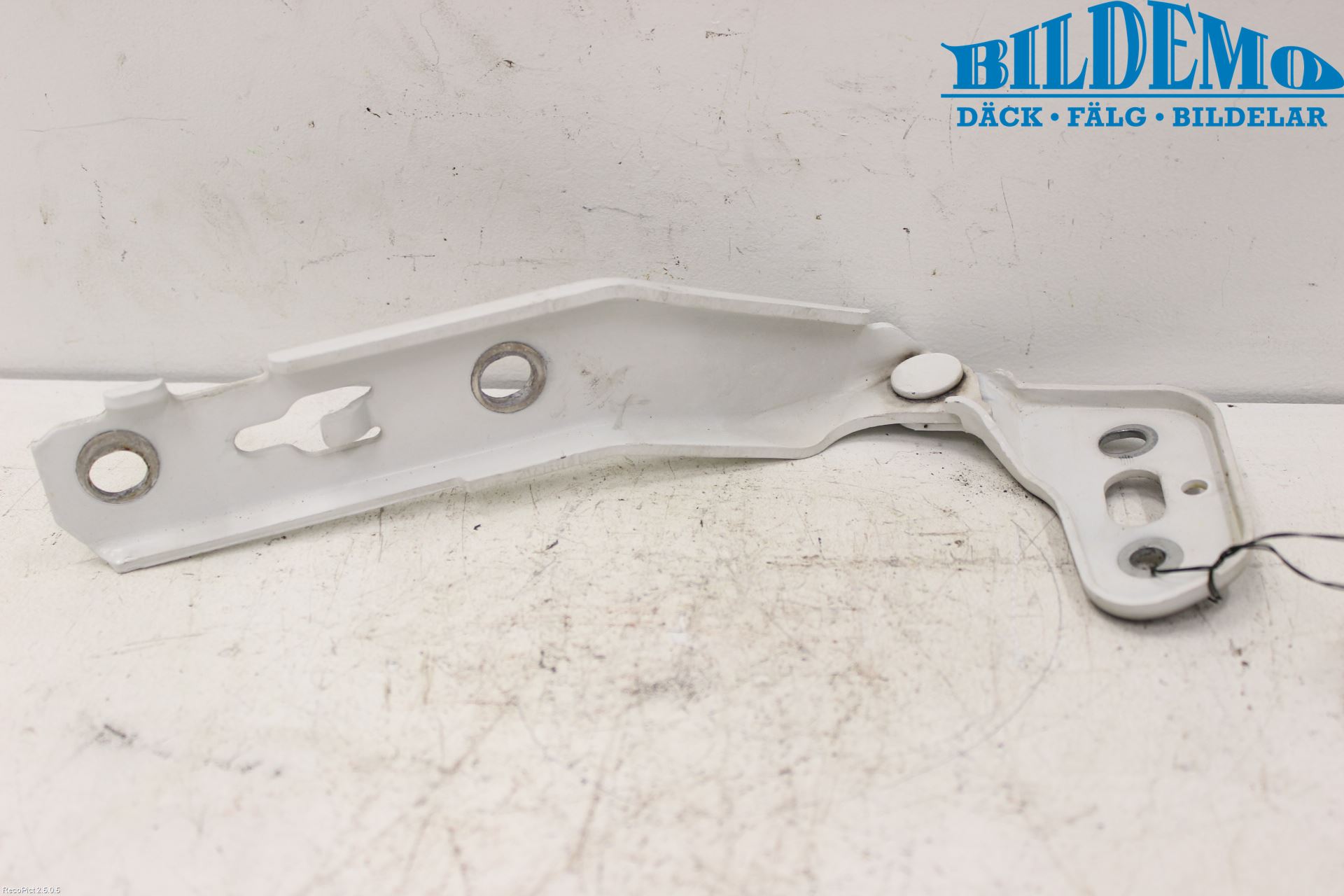 Audi A6/S6     05-11 Panser Hengsel - Hengsler