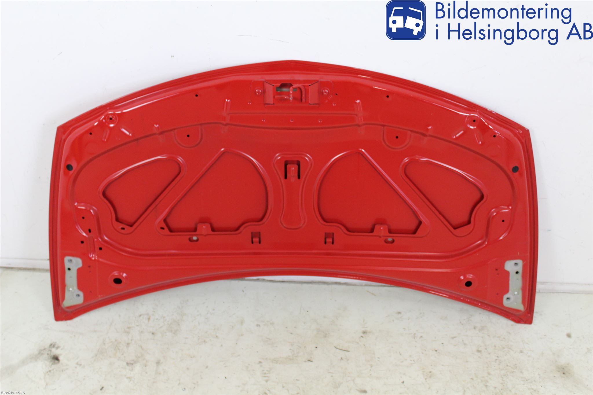 Renault CLIO III  06-09 Panser