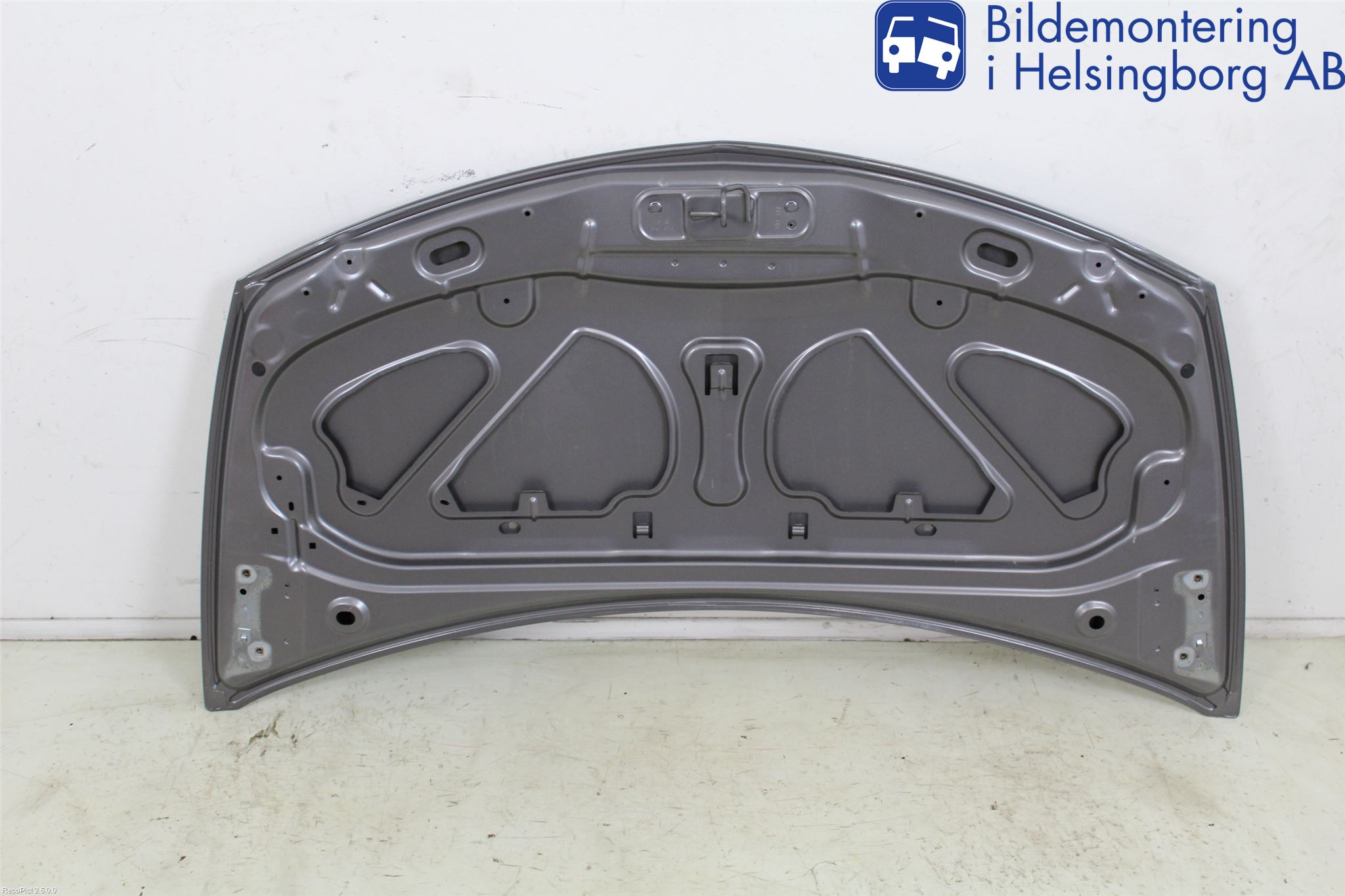 Renault CLIO III  09-12 Panser