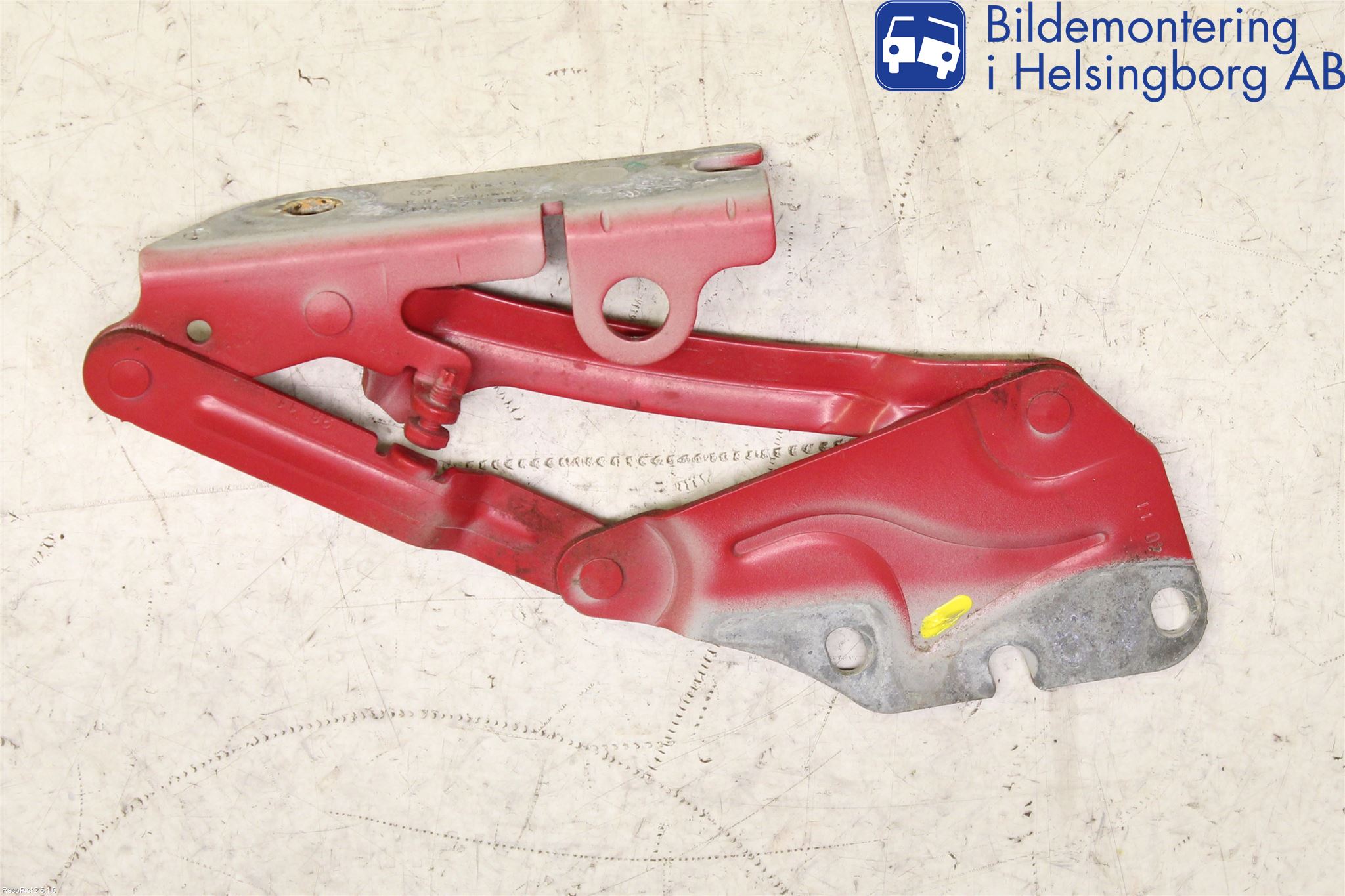 Volkswagen VW GOLF PLUS/CROSS GOLF 04-14 Panser Hengsel - Hengsler
