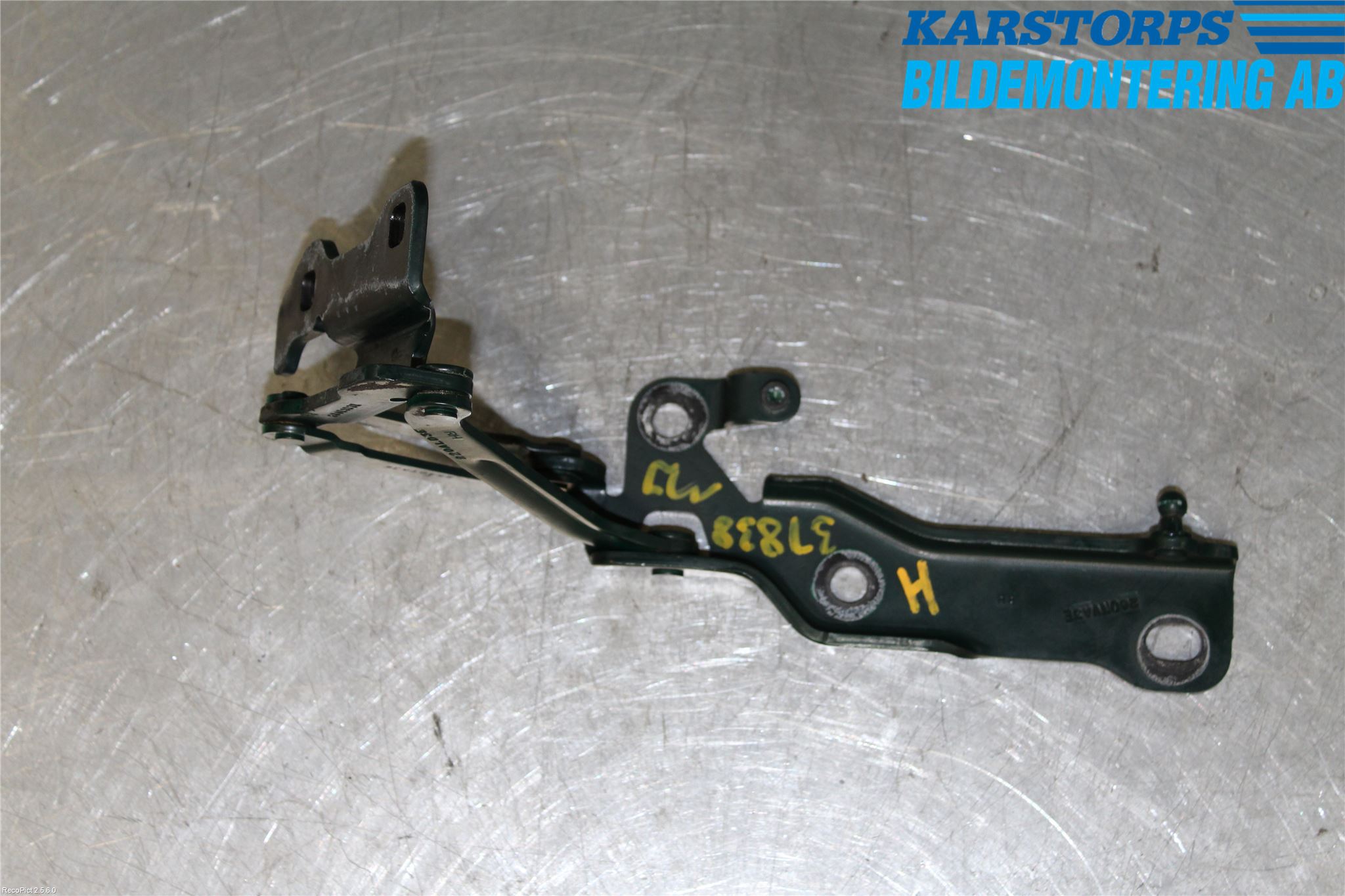 Jaguar XJ X350        03-09 Panser Hengsel - Hengsler