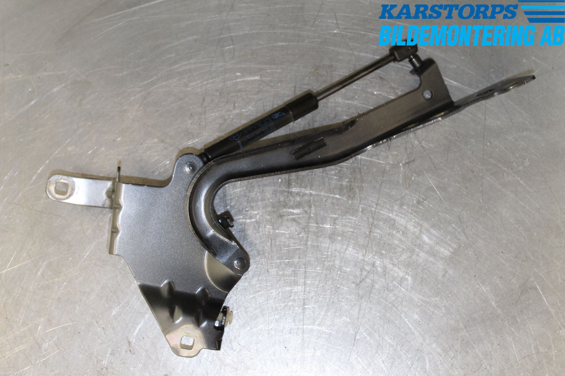 Renault SCÉNIC III / GRAND SCÉNIC 09-16 Panser Hengsel - Hengsler
