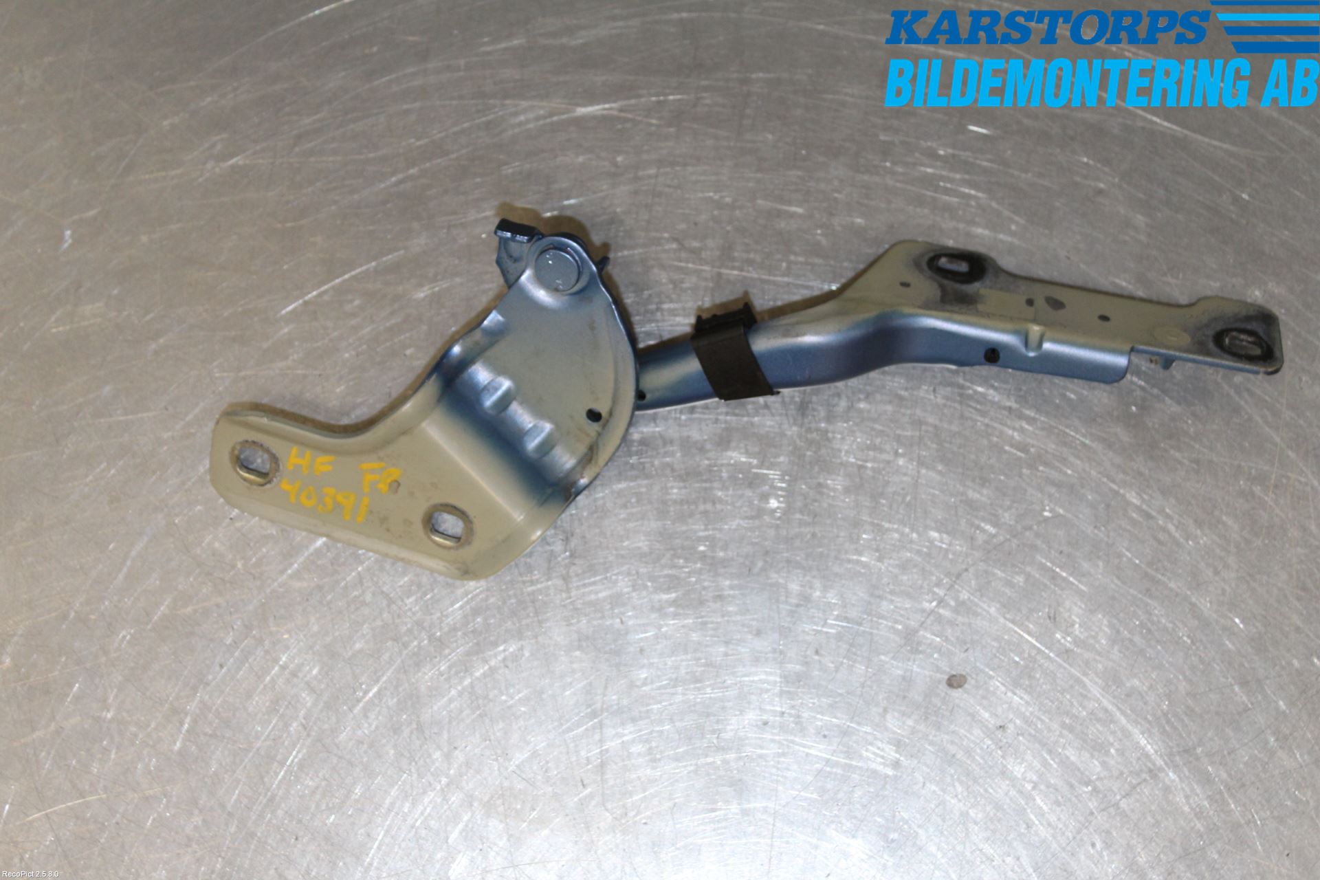 Renault CLIO III  09-12 Panser Hengsel - Hengsler