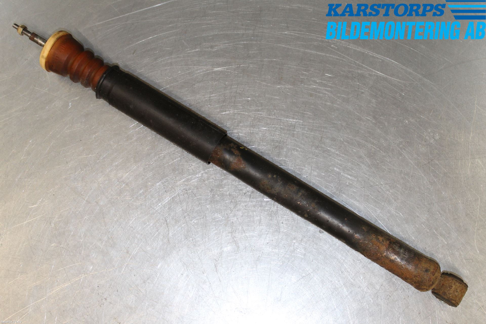 Ford FOCUS     99-04 Støtdemper Bak