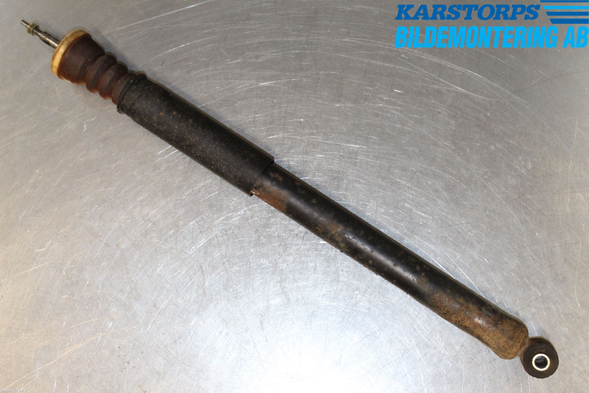 Ford FOCUS     99-04 Støtdemper Bak