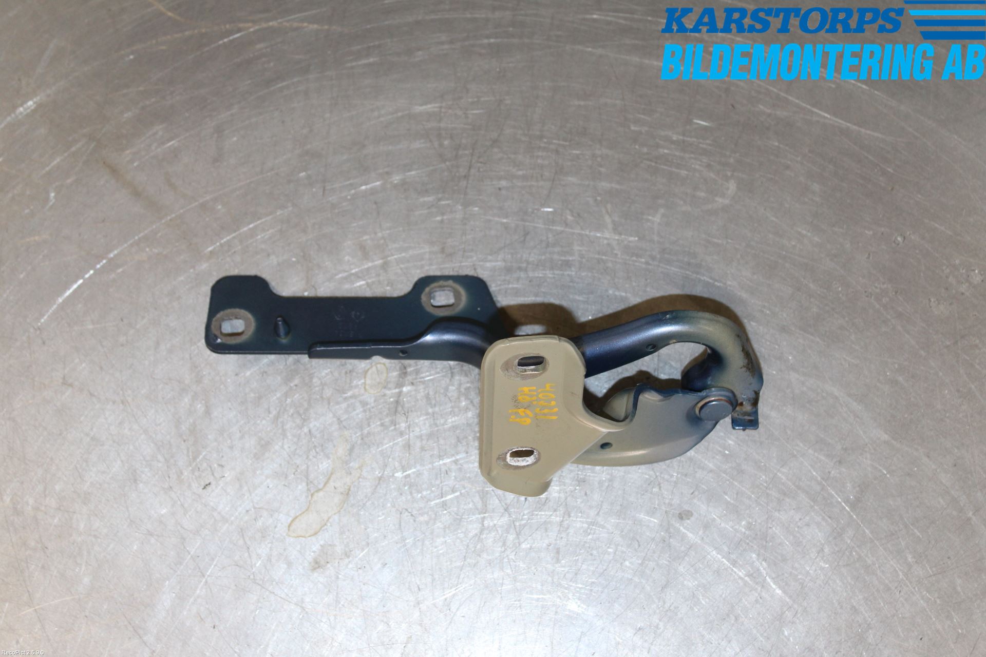 Renault CLIO III  09-12 Panser Hengsel - Hengsler