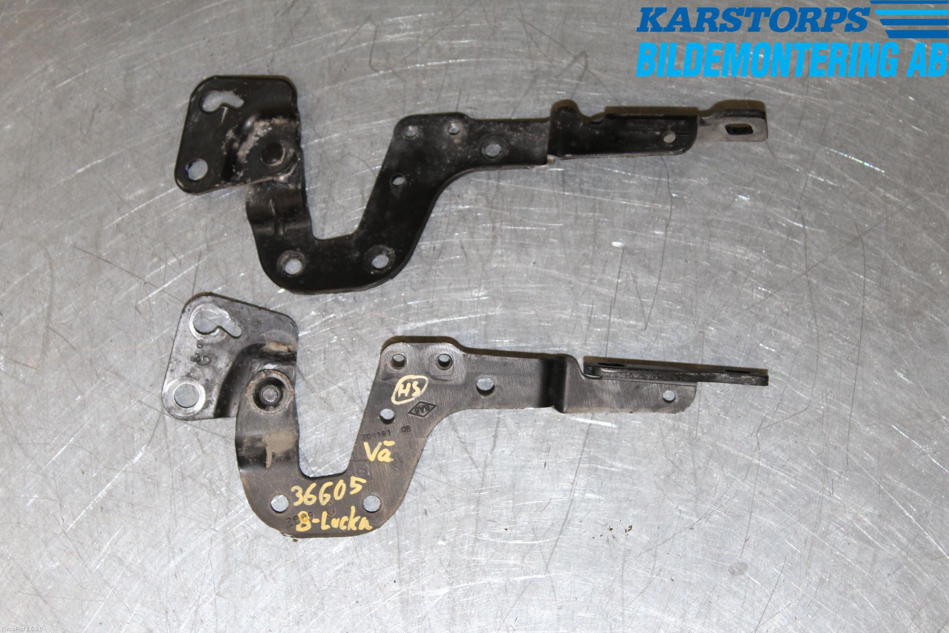 Renault ESPACE/GRAND ESPACE 04-14 Bakluke Hengsel Venstre