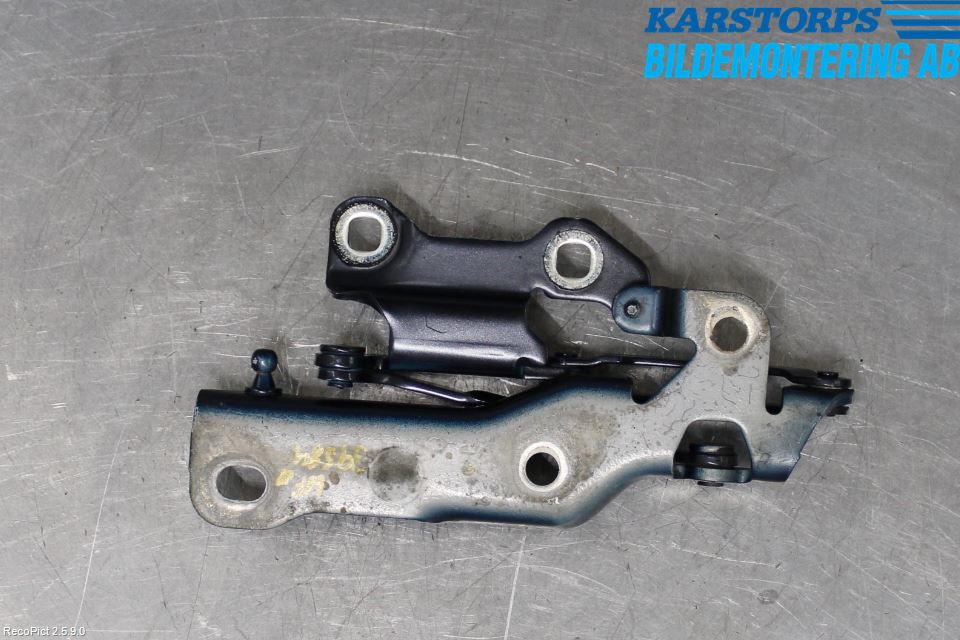 Jaguar XJ X350        03-09 Panser Hengsel - Hengsler