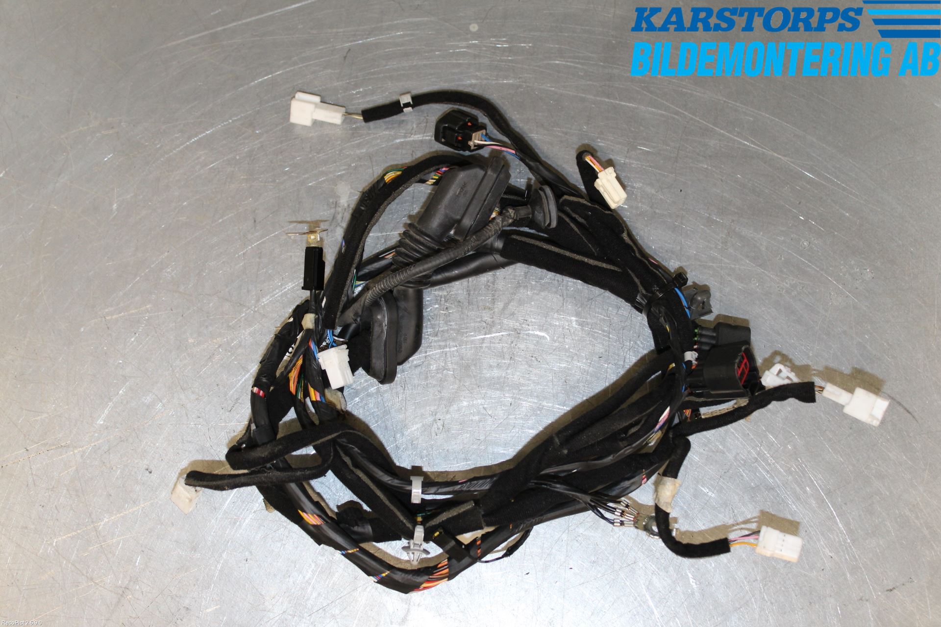 Kia CARNIVAL Ledningsnett