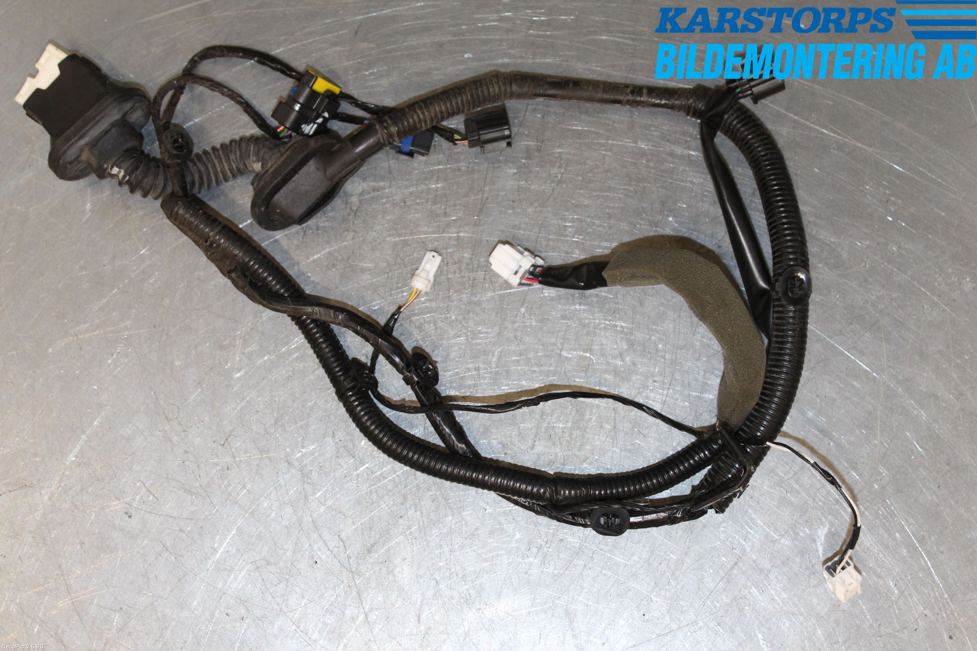 Renault KOLEOS I 08-10 Ledningsnett