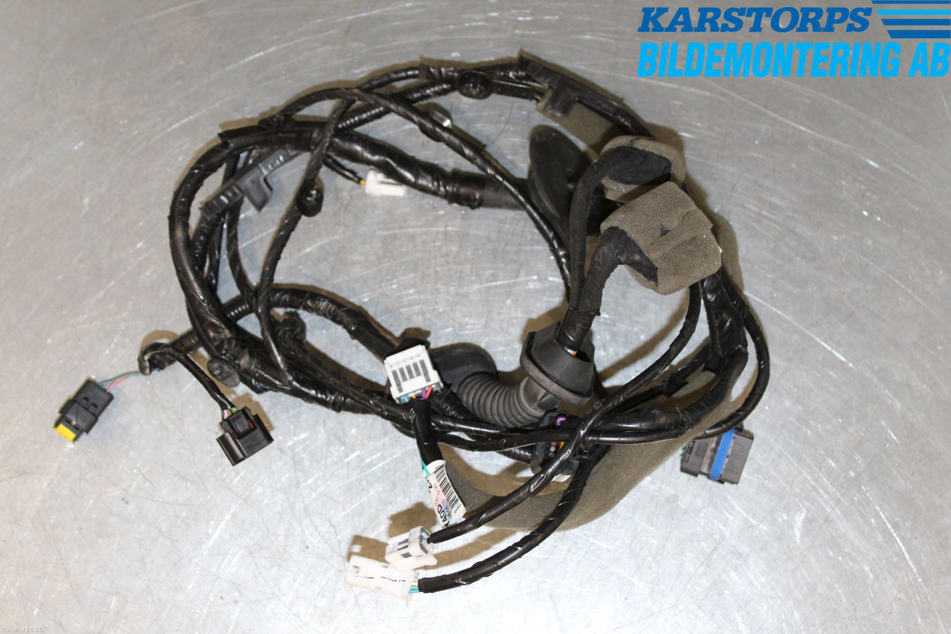 Renault KOLEOS I 08-10 Ledningsnett