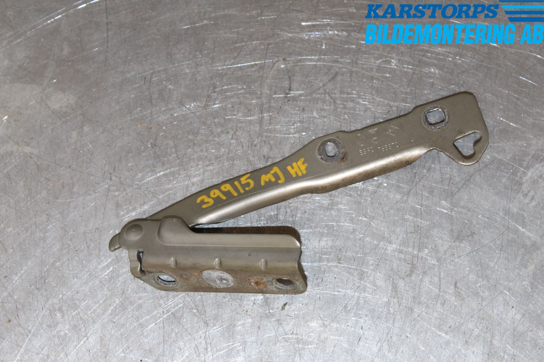 Dacia SANDERO 09-13 Panser Hengsel - Hengsler