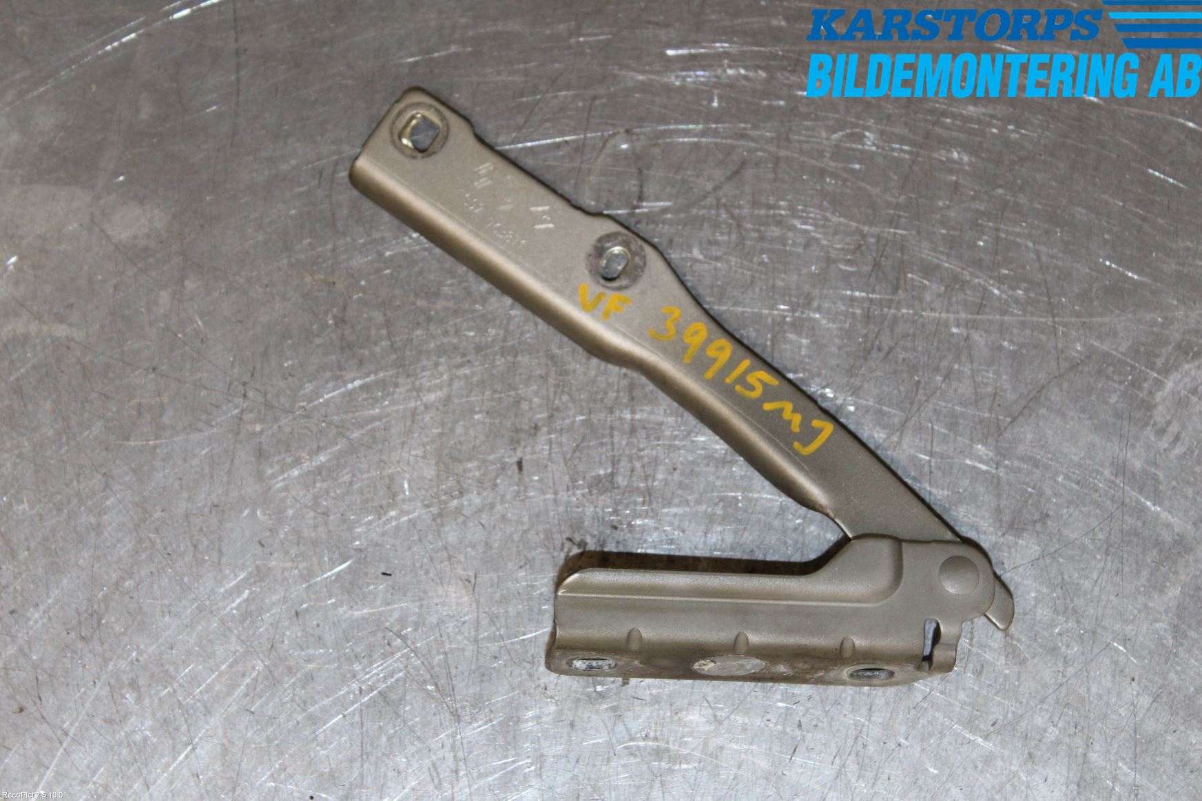 Dacia SANDERO 09-13 Panser Hengsel - Hengsler