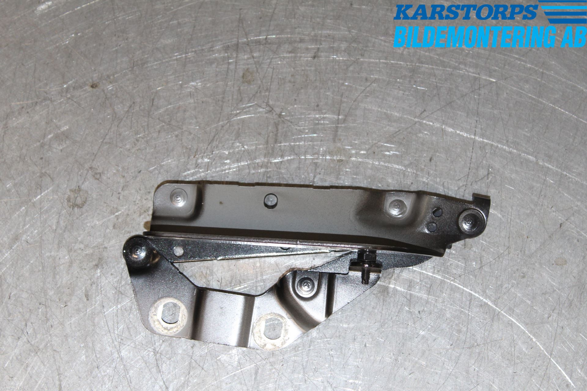 Landrover LAND ROVER RANGE ROVER EVOQUE (L538) 11-18 Panser Hengsel - Hengsler