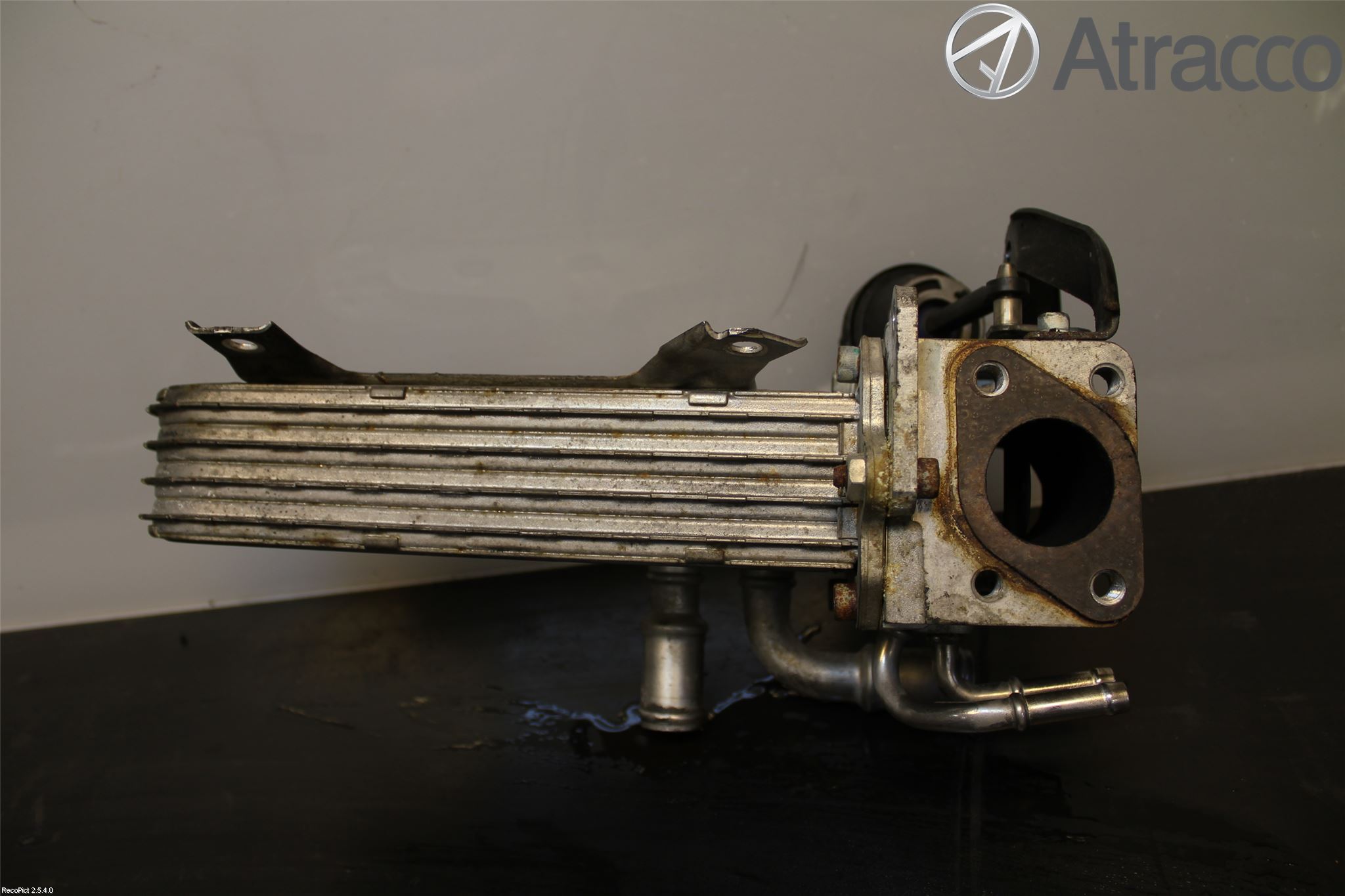 Audi A3/S3 05-13 Eksos Kjøler