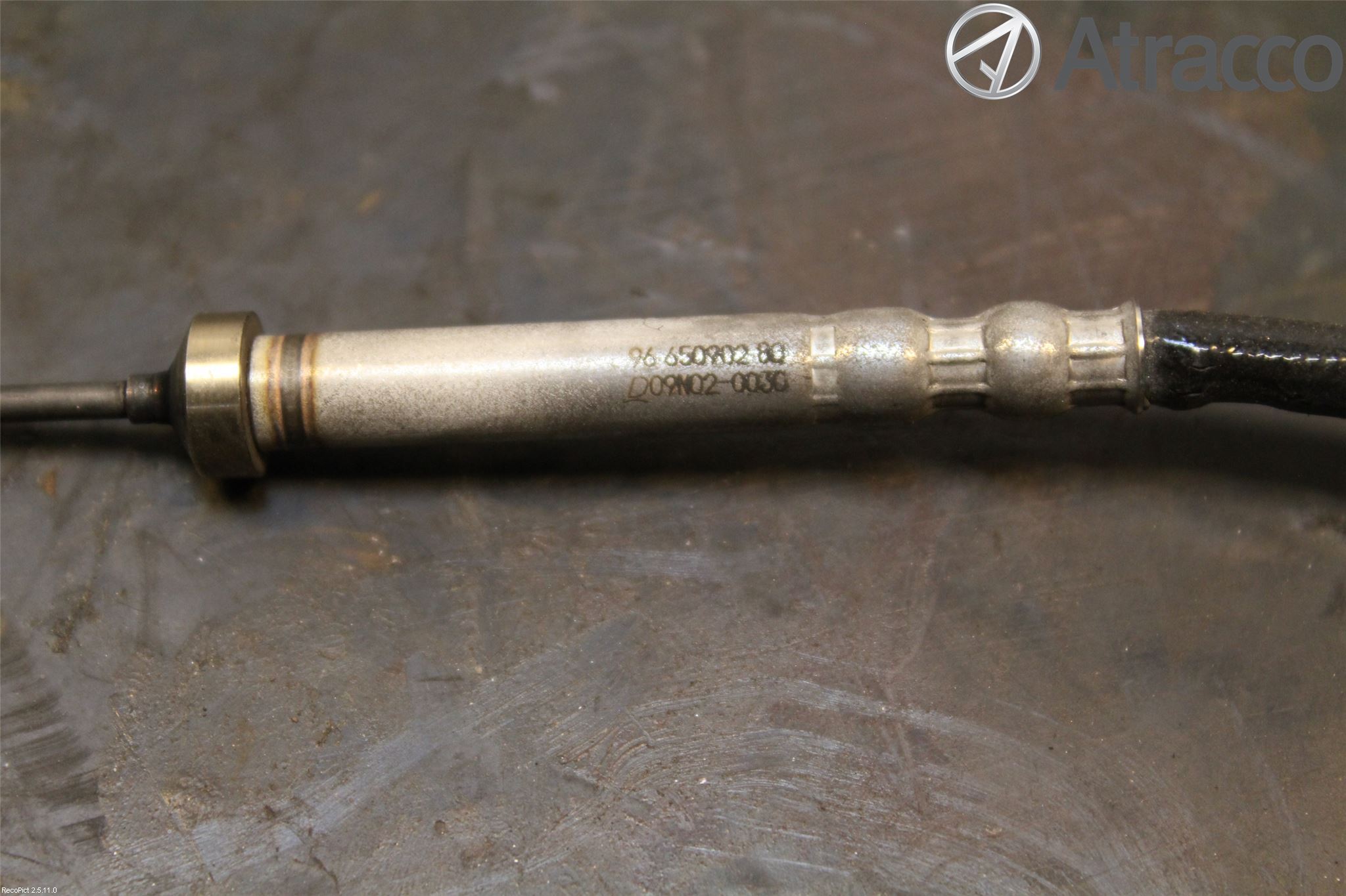 Citroen C3 10-17 Sensor Eksos