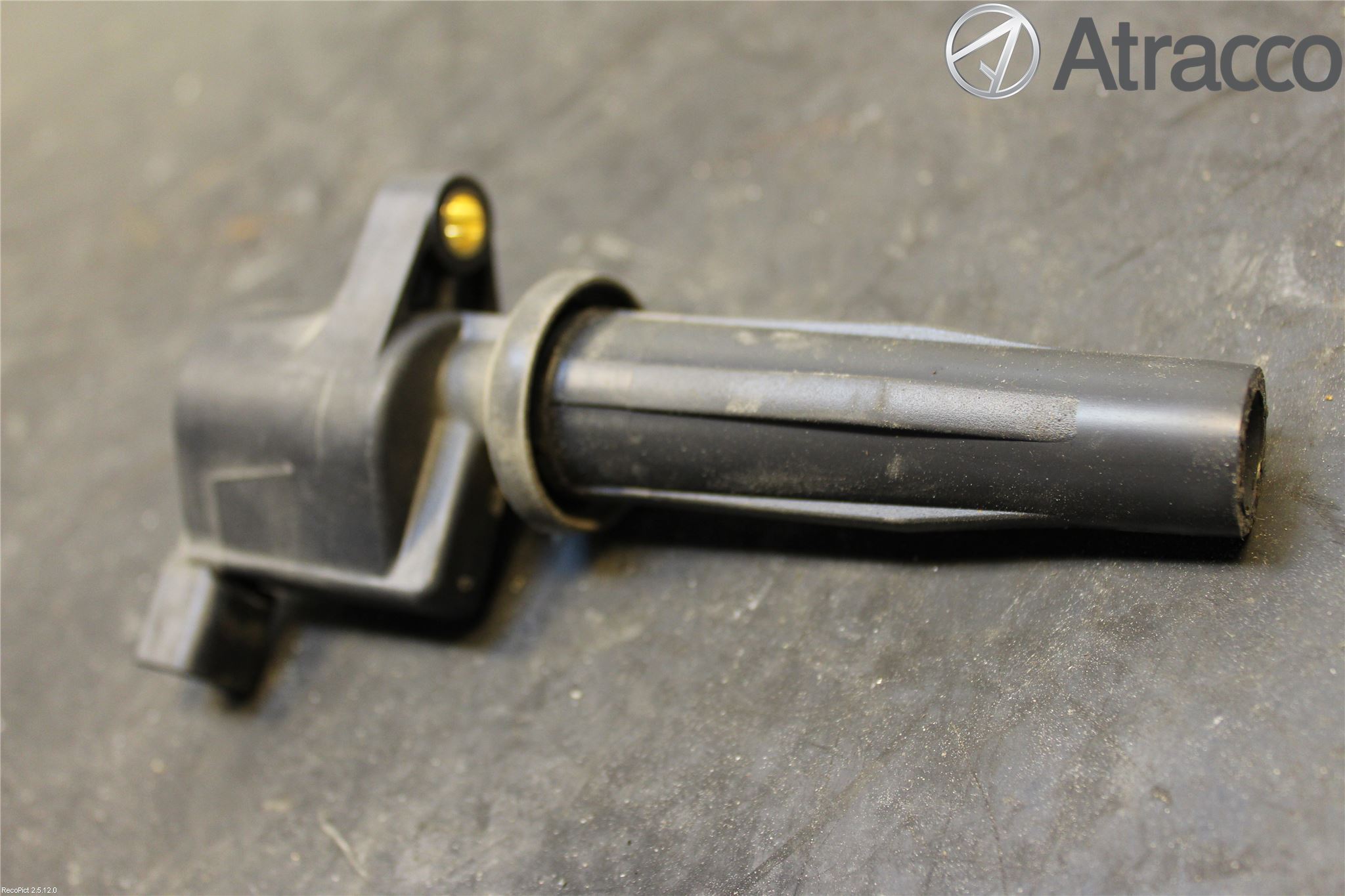 Ford FOCUS     04-07 Coil