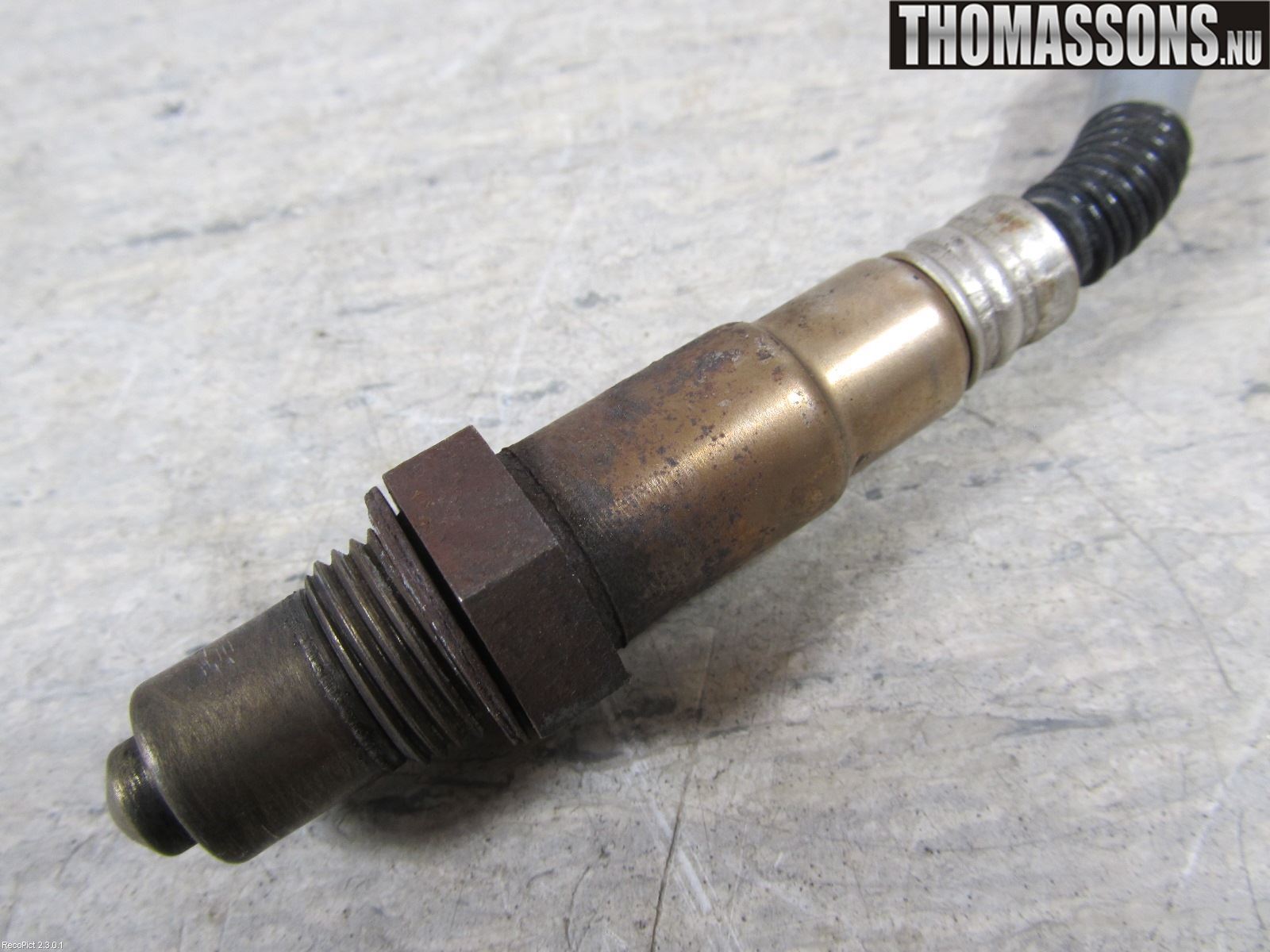 Ford FOCUS 08-11 Inns Lambdasonde