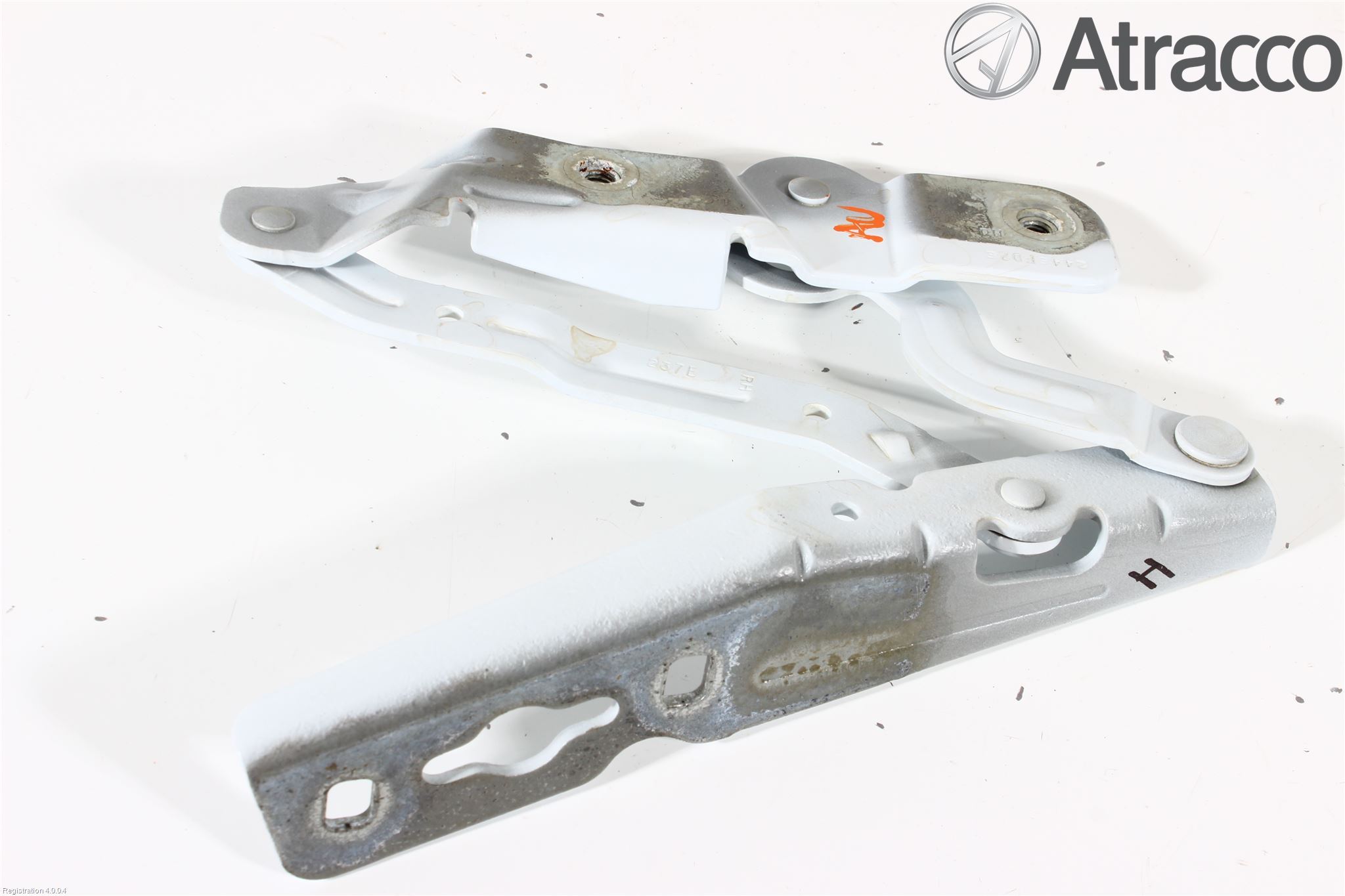 Ford FOCUS 11-14 Panser Hengsel - Hengsler